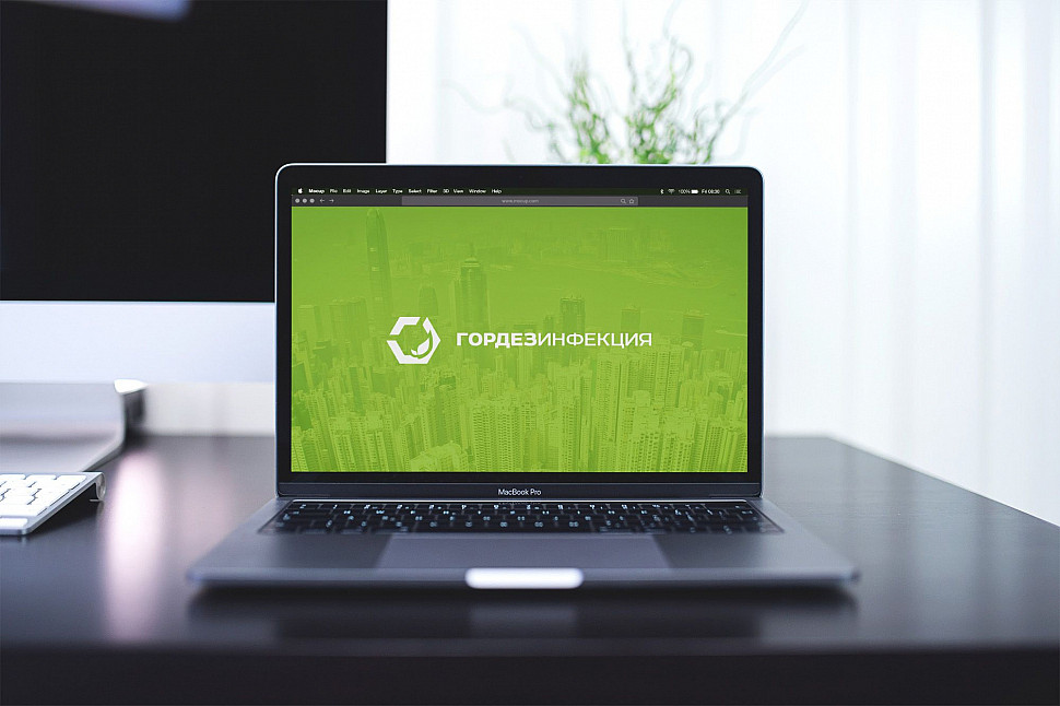 Наше портфолио - Логотип и фирменный стиль для "Гордезинфекция"